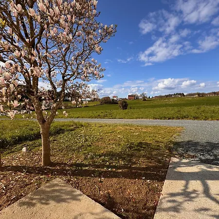 A Revolta Boqueixon Holiday home