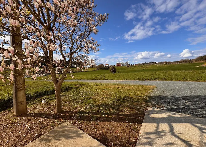 A Revolta Boqueixon 펜션